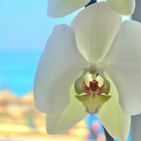 1º Línea De Playa En Pleno Centro De Fuengirola