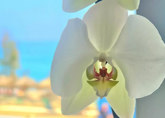 1º Linea De Playa En Pleno Centro De Fuengirola